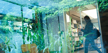 Şirketler ve Ticaret