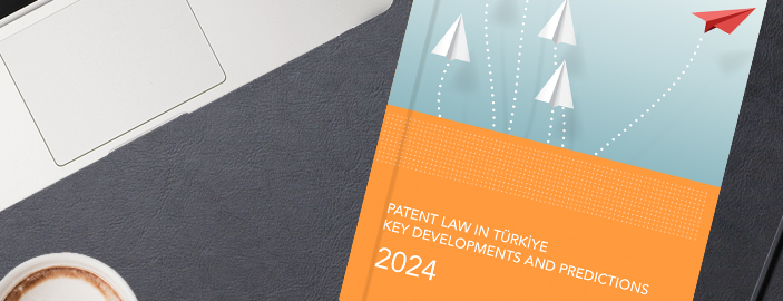 Pharmaceuticals and Life Sciences Law in Türkiye Key Developments and Predictions - 2025